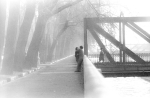 INVIERNO PARQUE FORESTAL